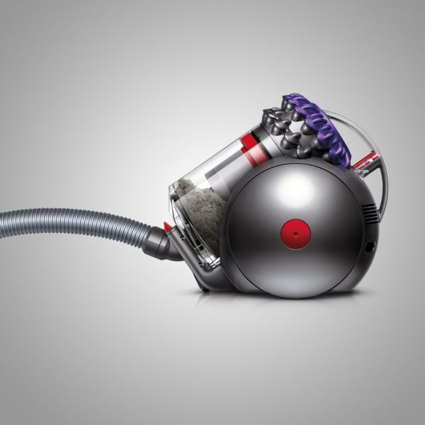Dyson Big Ball Animal 2 Vacuum Cleaner | 228563-01
