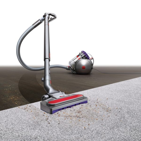 Dyson Big Ball Animal 2 Vacuum Cleaner | 228563-01