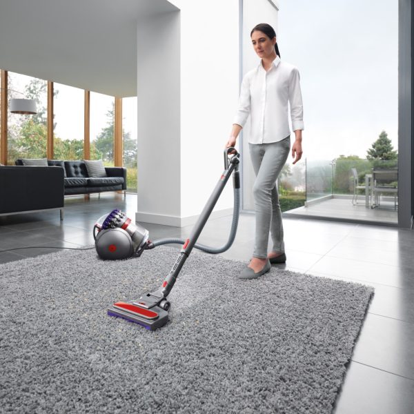 Dyson Big Ball Animal 2 Vacuum Cleaner | 228563-01